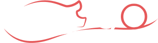 Logo | Bizinelli