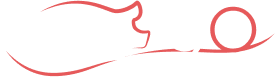 Logo | Bizinelli