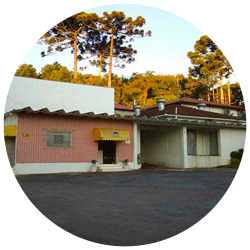 A empresa foi transformada em Frigorífico Bizinelli Ltda. e passou a ser administrada pelos seis filhos de Ângelo e sua esposa.